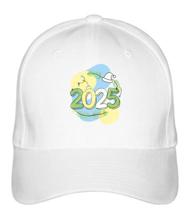 Бейсболка 2025 