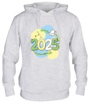 Толстовка худи 2025  фото