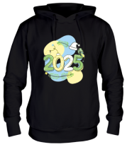 Толстовка худи 2025  фото