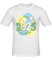 Мужская футболка 2025  фото