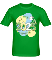 Мужская футболка 2025  фото