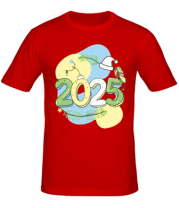 Мужская футболка 2025  фото