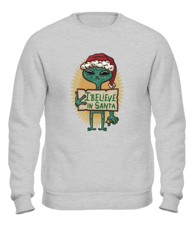 Толстовка без капюшона I believe in Santa