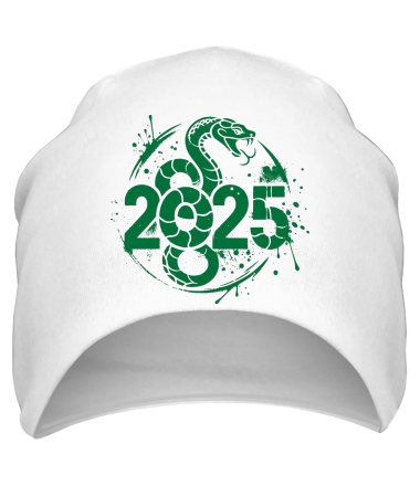 Шапка 2025