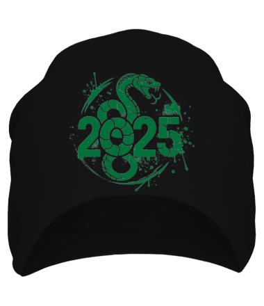 Шапка 2025
