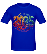 Мужская футболка 2025 фото