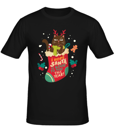 Мужская футболка tis the season