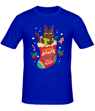 Мужская футболка tis the season