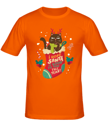 Мужская футболка tis the season