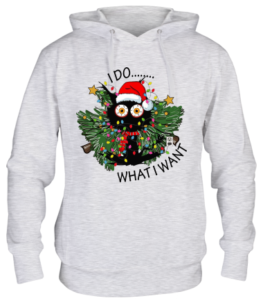 Толстовка худи i do whatiwant