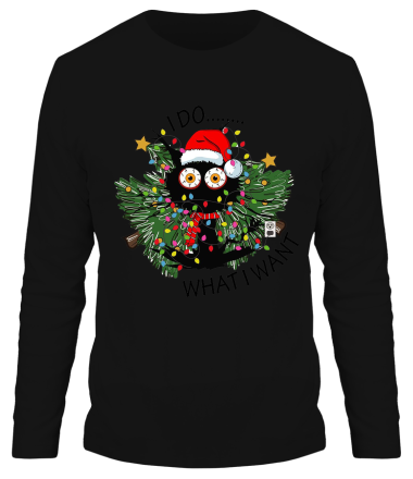 Мужская футболка длинный рукав i do whatiwant