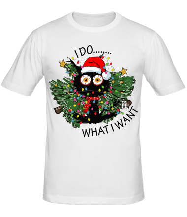 Мужская футболка i do whatiwant