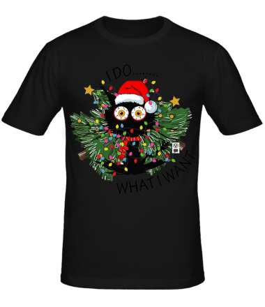 Мужская футболка i do whatiwant