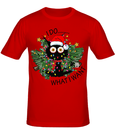 Мужская футболка i do whatiwant