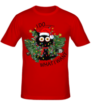 Мужская футболка i do whatiwant фото