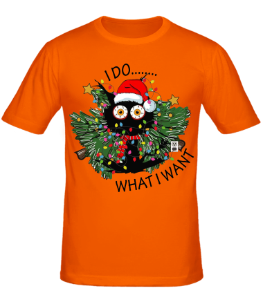 Мужская футболка i do whatiwant
