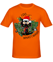 Мужская футболка i do whatiwant фото