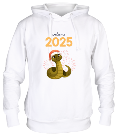 Толстовка худи 2025