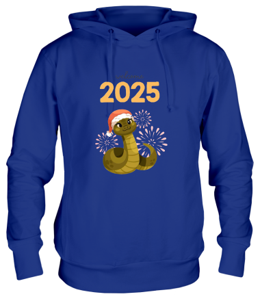 Толстовка худи 2025