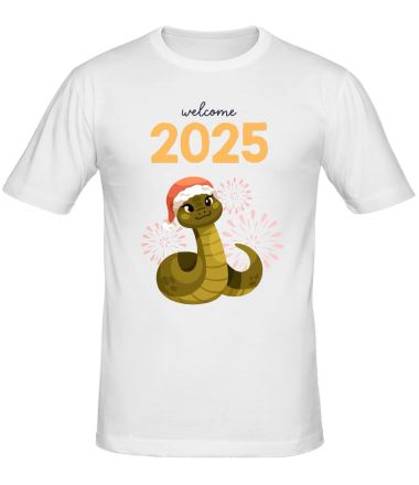 Мужская футболка 2025