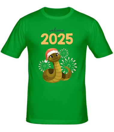 Мужская футболка 2025