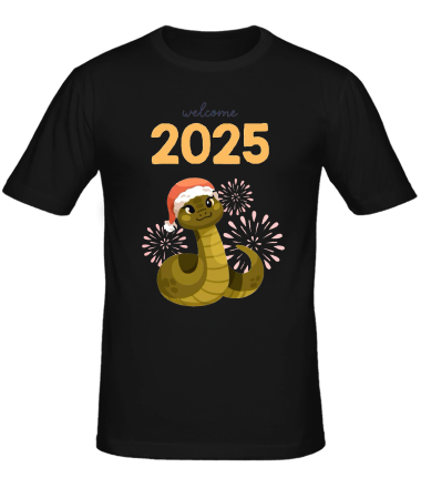 Мужская футболка 2025