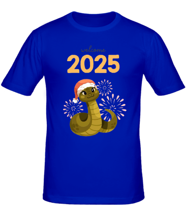 Мужская футболка 2025