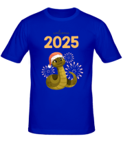 Мужская футболка 2025 фото