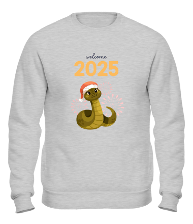 Толстовка без капюшона 2025