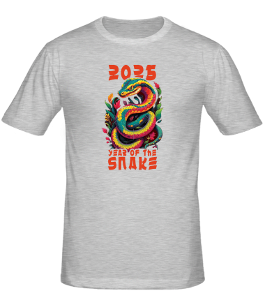 Мужская футболка 2025