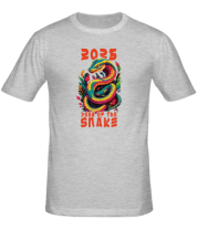 Мужская футболка 2025 фото