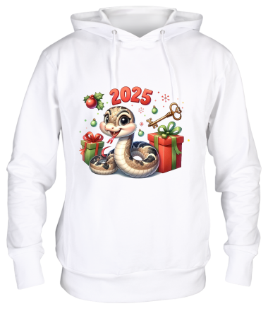 Толстовка худи 2025