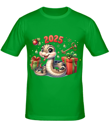 Мужская футболка 2025