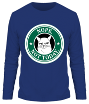 Мужская футболка длинный рукав Nope not today фото
