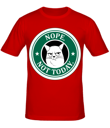 Мужская футболка Nope not today
