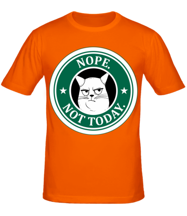 Мужская футболка Nope not today