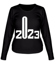 Женская футболка длинный рукав Fuck  2023