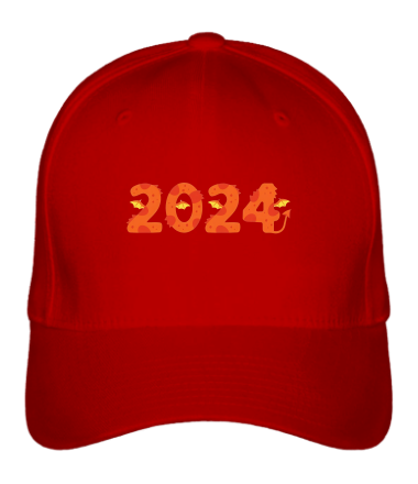 Бейсболка 2024