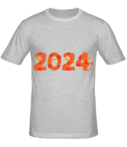 Мужская футболка 2024 фото