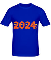 Мужская футболка 2024 фото