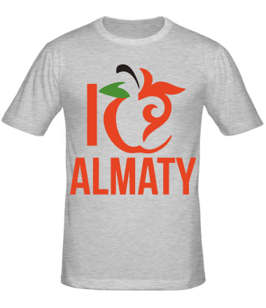 Мужская футболка ALMATY