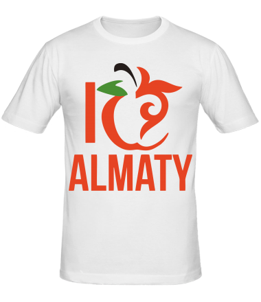 Мужская футболка ALMATY