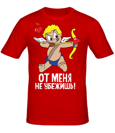 Мужская футболка От меня не убежишь 