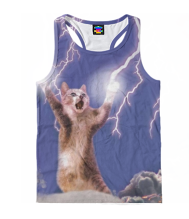  Грозовой Кошак